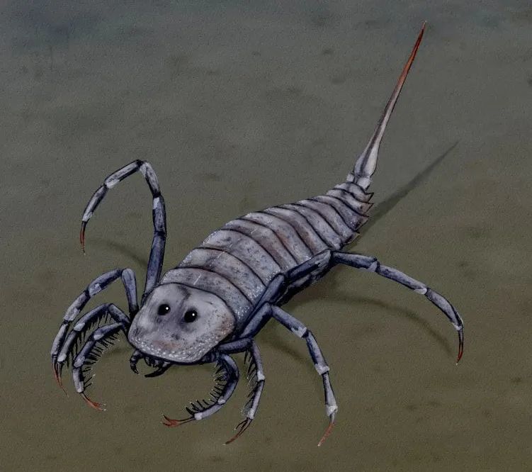 海洋头号杀手——消逝的远古蝎子_腾讯新闻