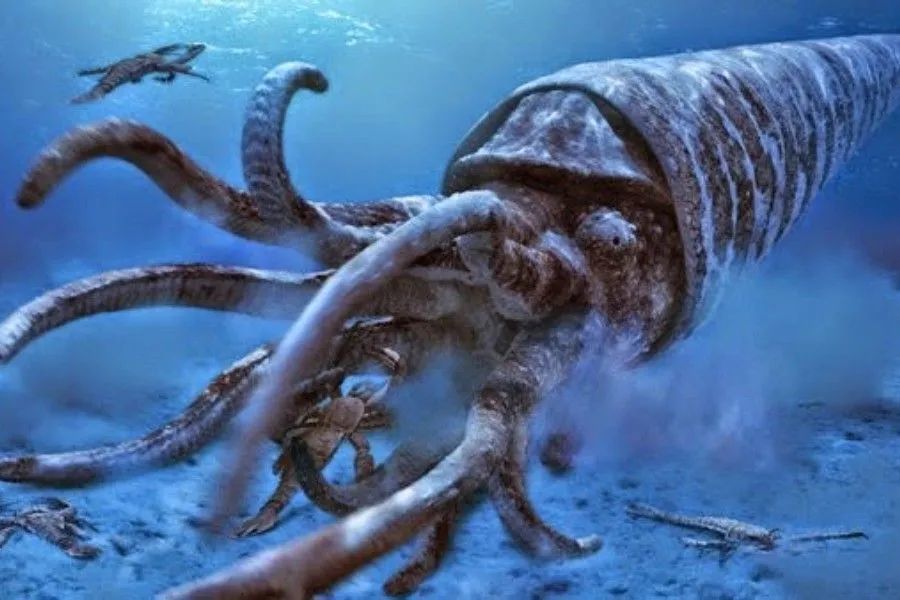 海洋头号杀手——消逝的远古蝎子_腾讯新闻