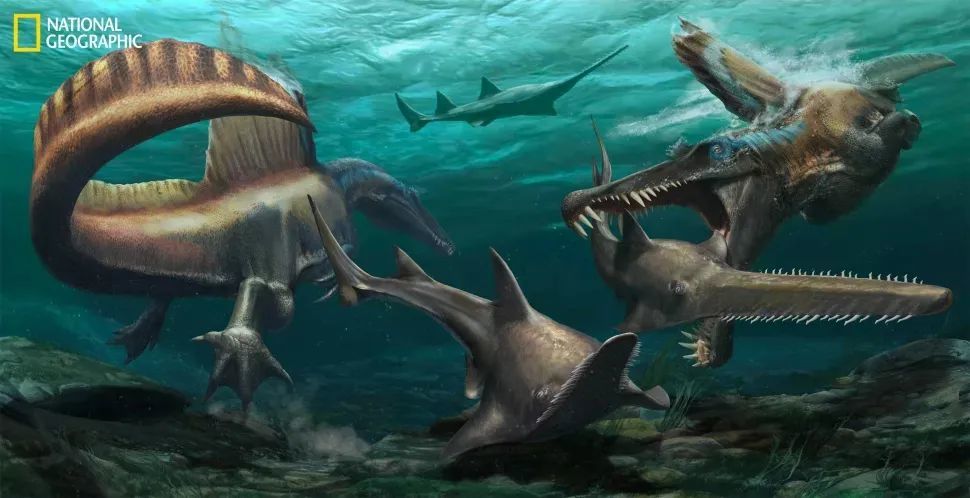 2020年关于恐龙最酷的10项科学发现