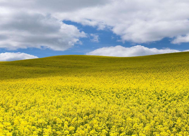 生肖属兔的朋友,他们是一个性格比较直接的人,平时在生活中从来都不会