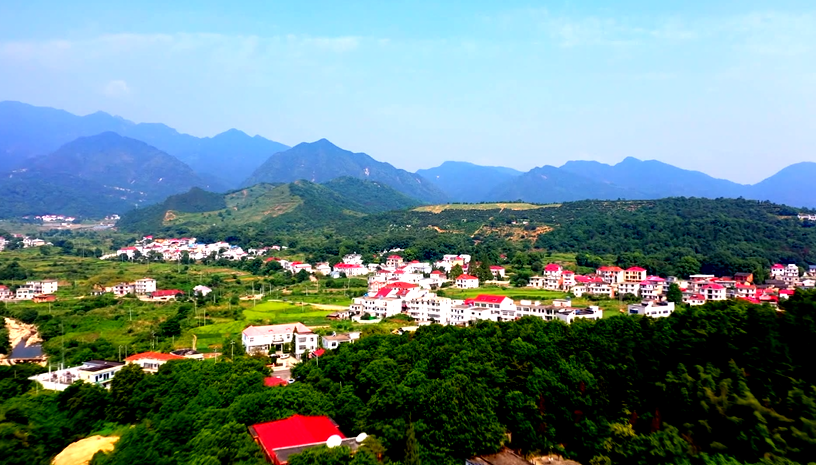 紧临长江的新港镇杨家场村,如今已经成为最美长江岸线旁的一道亮丽