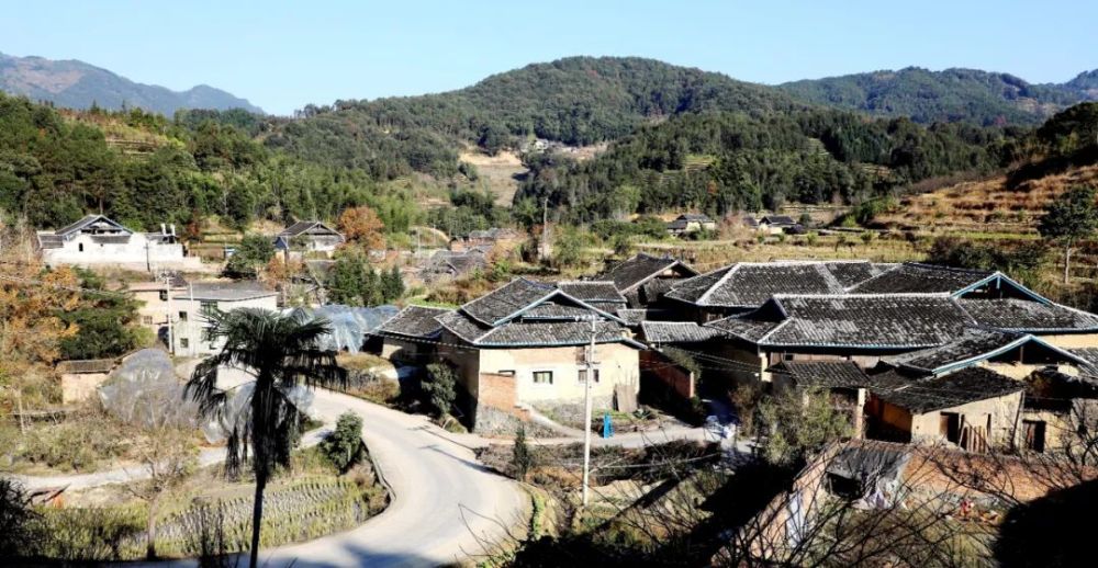 "福安穆云畲族乡桥溪村民刘飞云向记者介绍说,看到村委班子引领村民