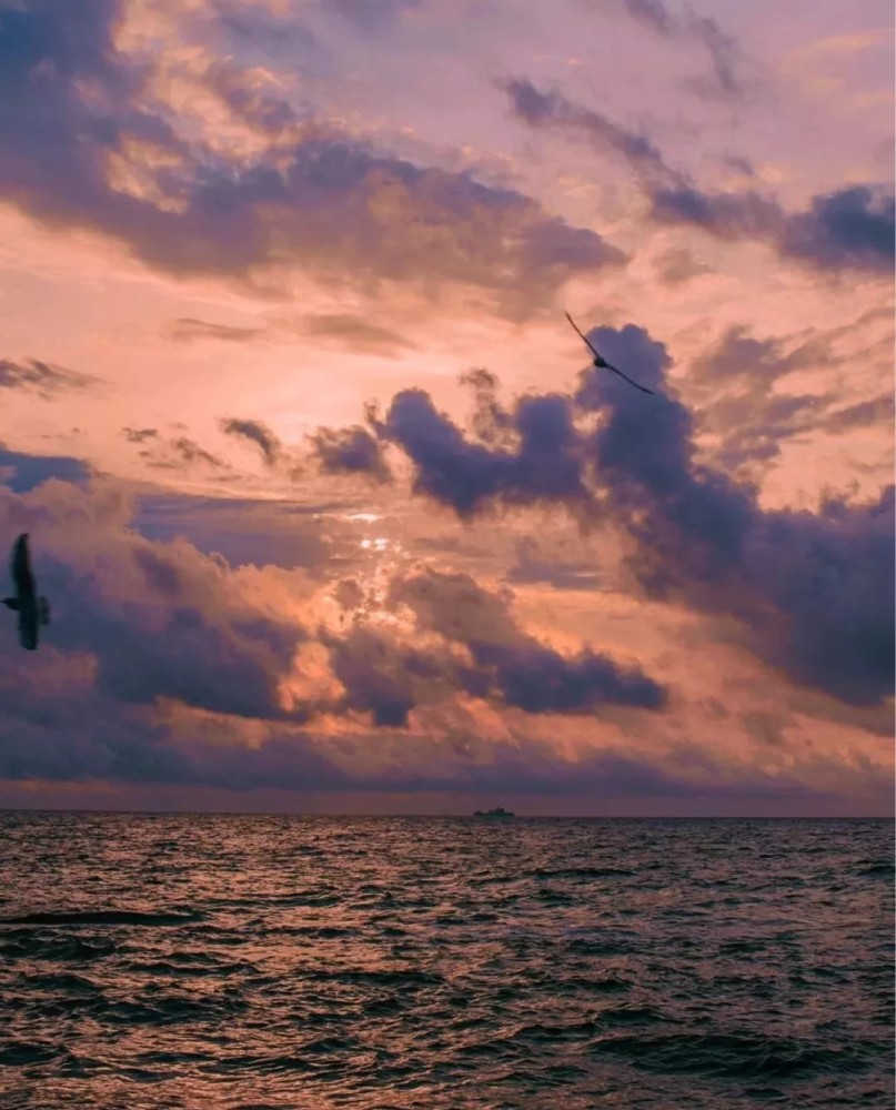 背景图vlog_腾讯新闻