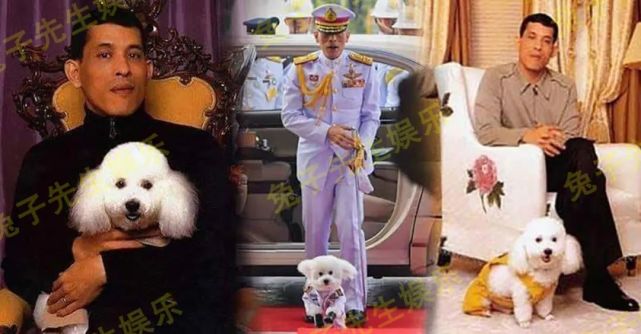 西拉米照片被摆在苏提达面前赤身喂狗吃蛋糕泰王怒气值要满了