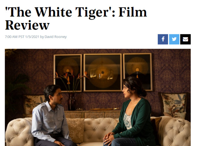 《白虎》在派拉蒙线上平台重映,巴哈尼称小众电影要体现大众思维