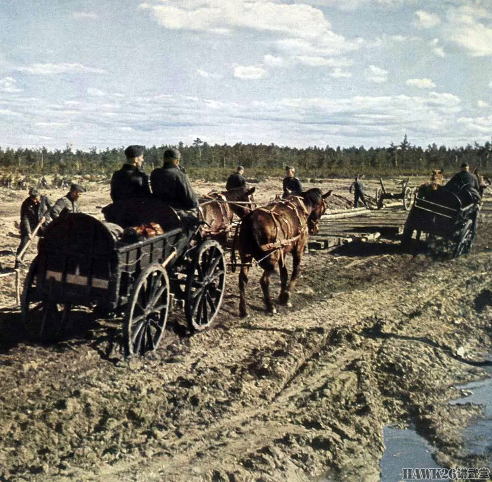 二战德军机械化程度有多高入侵苏联时不足40后勤运力靠马车