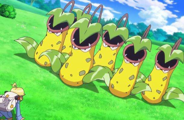 《精灵宝可梦图鉴》no.071:被吃进去就再也出不来了——大食花