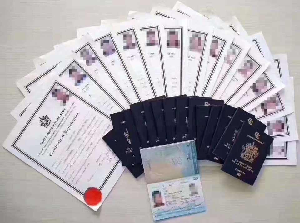 圣基茨护照到底是怎么回事儿 那么多人去办 是什么样的国家 腾讯新闻