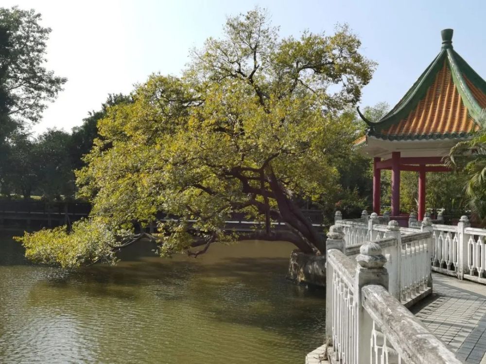 後來,動物園擴張搬遷至現在的北園公園,設計師鐘鳴便將這裡改造成極具