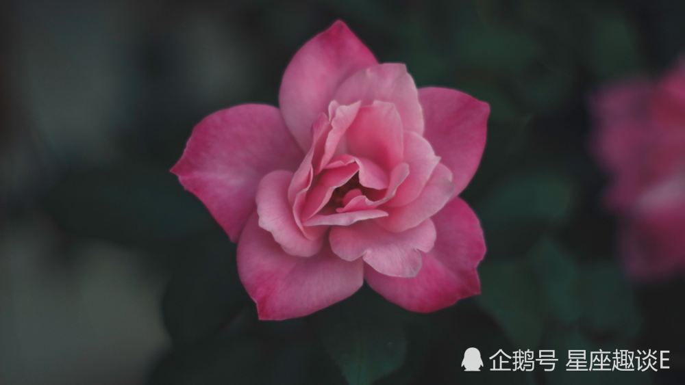 1月7日星座运势 喜出望外 惊喜不断的四大星座 腾讯新闻
