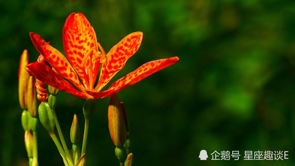 1月7日星座运势 金牛相处融洽 天蝎感情浪漫 水瓶游刃有余 腾讯新闻