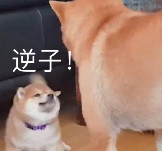641