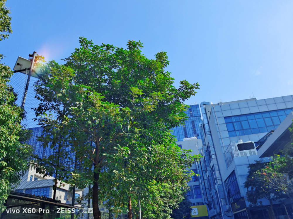 vivox60pro评测华为徕卡终于有了对手