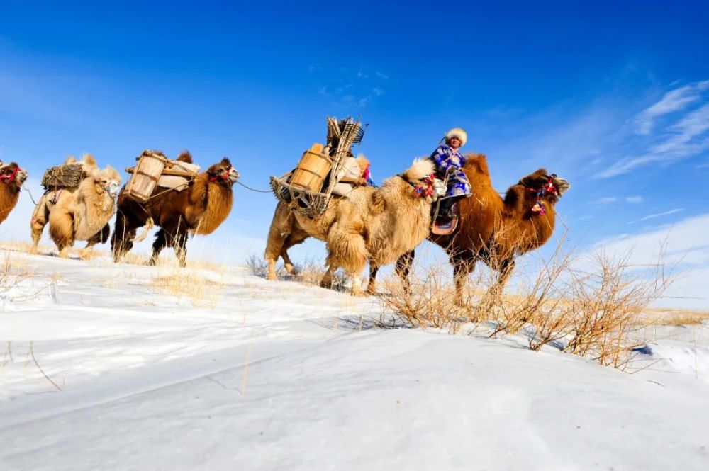 天边的骆驼,震撼的美