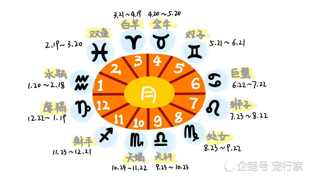 星座也影响着狗 你家狗是十二星座中的哪一座 宠物性格和占星术 腾讯新闻