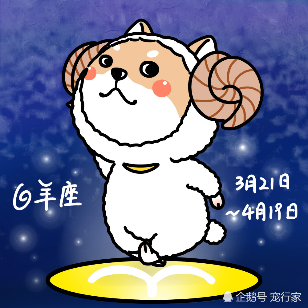 星座也影响着狗 你家狗是十二星座中的哪一座 宠物性格和占星术 腾讯新闻