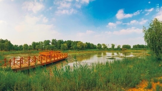 再增一处国家级济南这处湿地公园通过验收