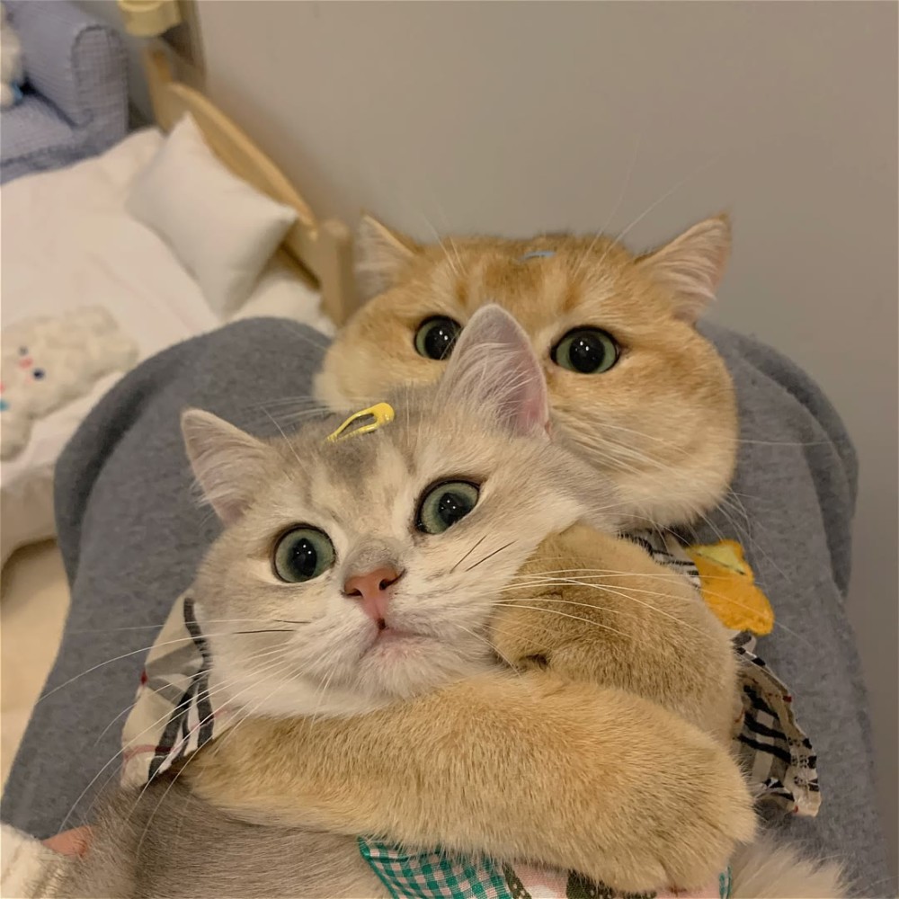 给你家男朋友的可爱备注