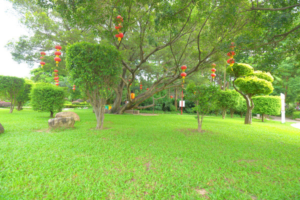 中山市小榄江滨公园,造船厂兑变而来的婚纱摄影基地