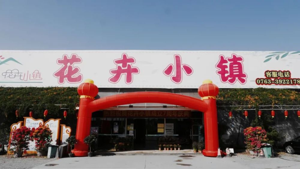 作为清城区品种最多,规模最大的花卉超市,新年伊始,花卉小镇也在积极