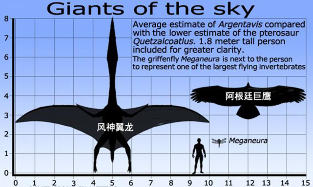 在600万年前没有天敌,翼展7米的阿根廷巨鹰,能叼抓多重的猎物?