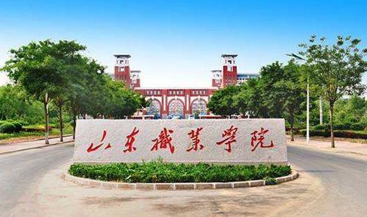 山东省高职院校排名_2019-2020山东专科学校排名及分数线(理科+文科)