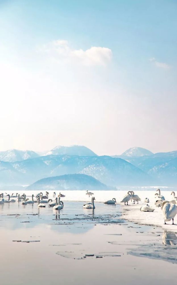 等一个人 陪我去北海道看雪 腾讯新闻