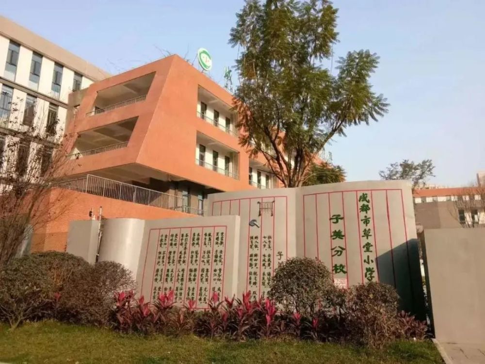 除东南面约200米矗立着草堂小学子美校区外,北侧隔街规划有中小学用地