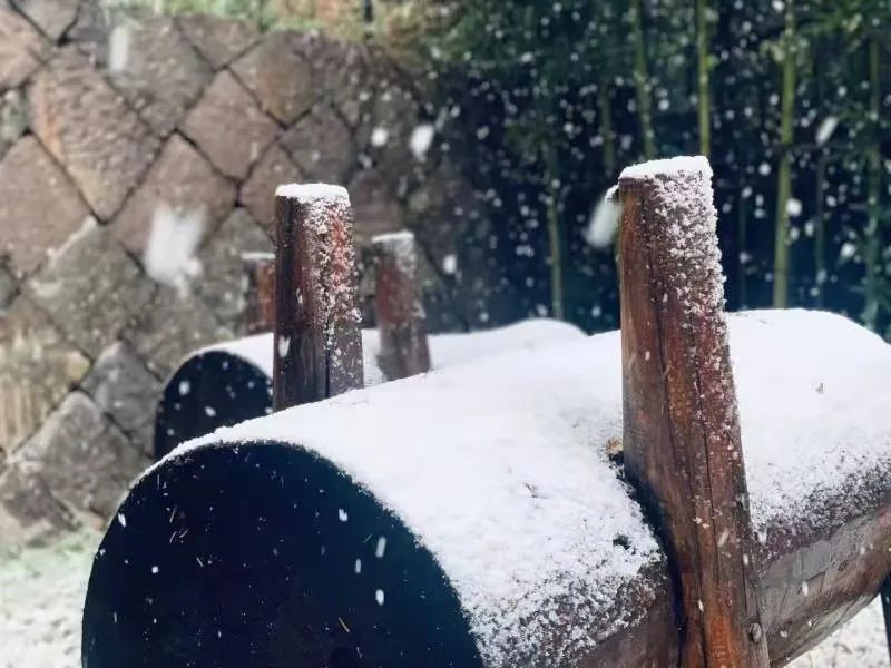 山區局部有小到中雪,預計下午雨(雪)止轉陰到多雲