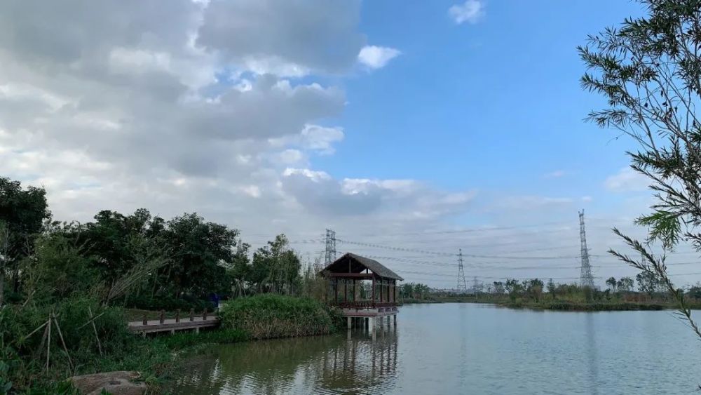 8360多亩的银瓶湖,两个市级湿地公园正在抓紧建设;谢岗生态资源十分