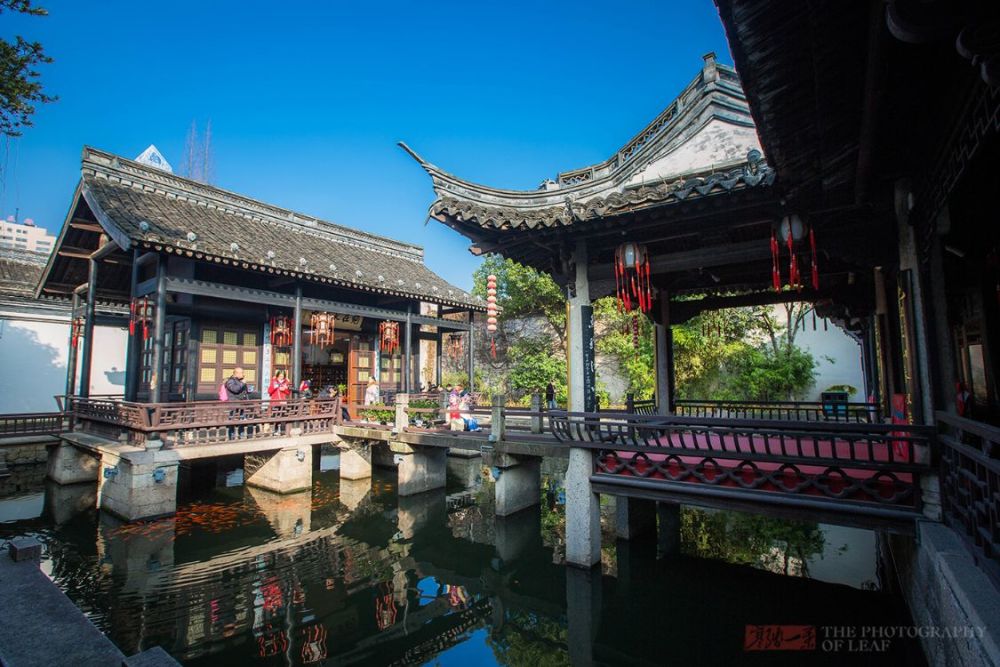 几代中国人儿时向往的百草园，现实是如此的普通，感叹鲁迅先生的文采