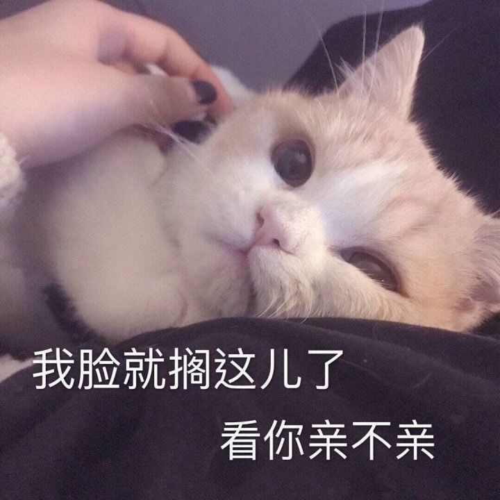 適合談戀愛時發的超甜表情包