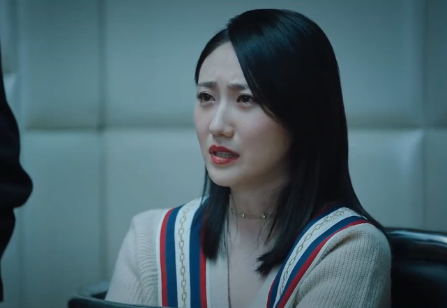 巡回检察组:孤儿院复仇联盟,白小莲被捕,米振东狱中掌控全局