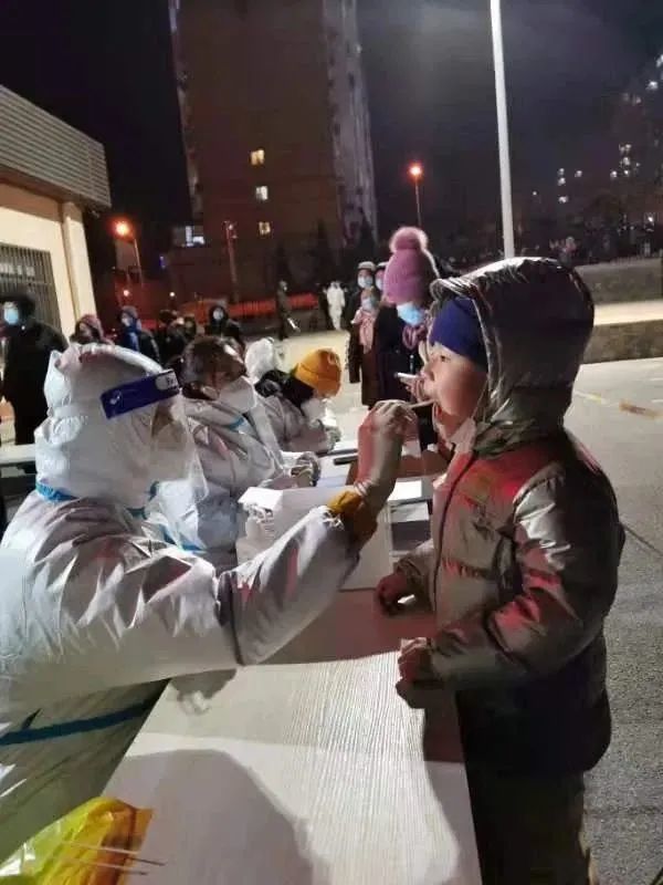 一只溜达鸡,祸害全沈城——沈阳神行太保尹老太,一人毁掉一座城