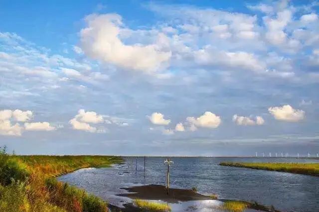千年扶海洲鲜美小洋口