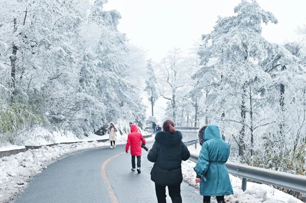 台州全市都下雪了雪最大在这里视频