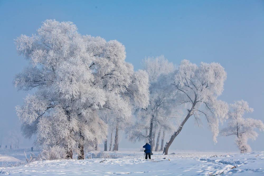 三九严寒的冬天