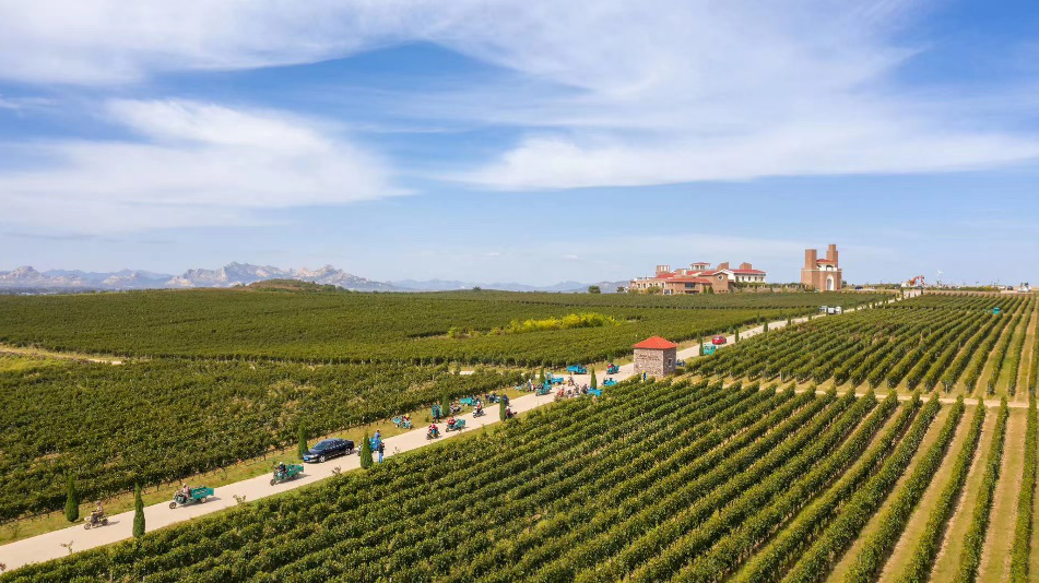 pic.1"九顶庄园"葡萄酒庄园鸟瞰图