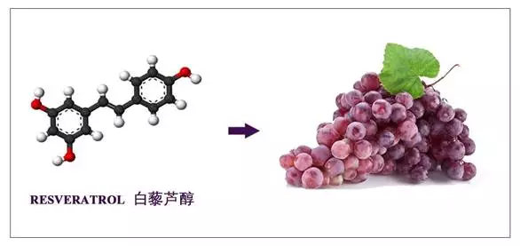 喝红酒软化血管抗衰老神奇的白藜芦醇了解一下