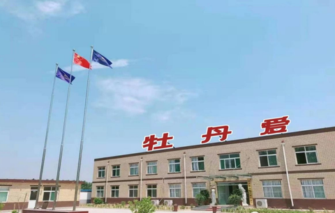 480×306