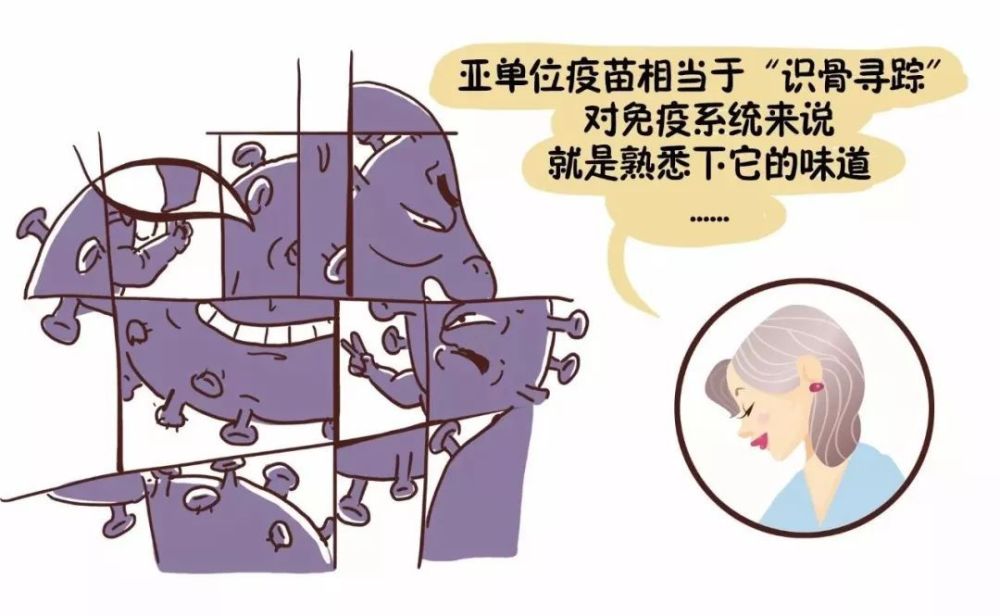 还在害怕疫苗副作用看了这篇文章你就知道疫苗到底是个啥