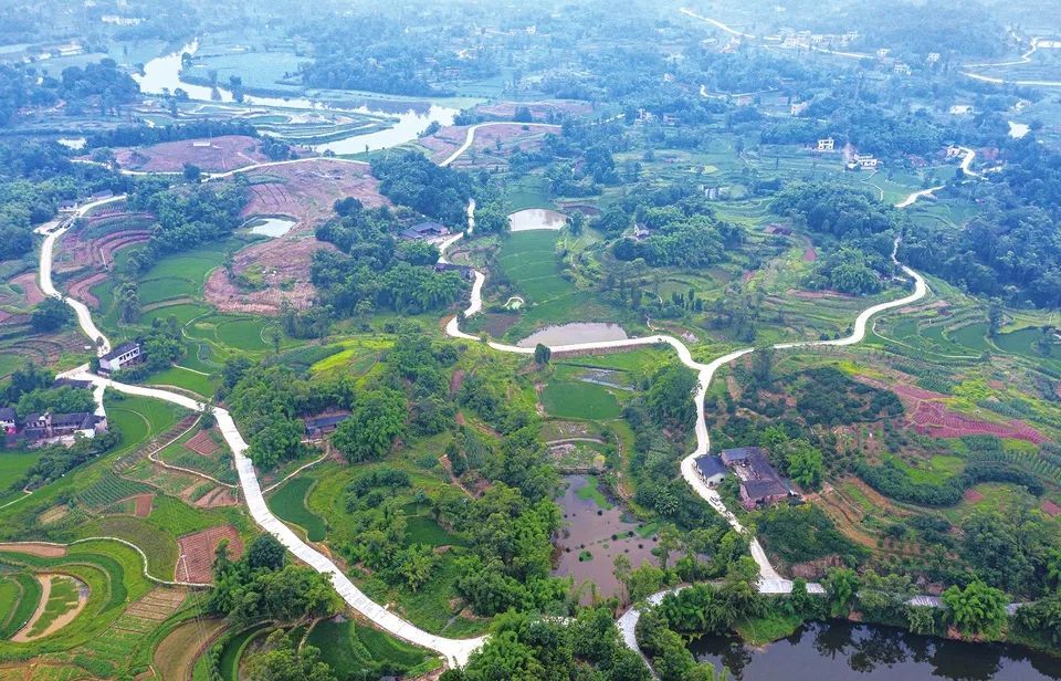 青山灼灼 幸福绵长——龙石镇青山村脱贫调查_腾讯新闻