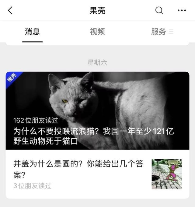 读 流浪猫战争 有感 百亿杀手原来是 这样 制造的 流浪猫战争 流浪猫 李忠秋 马拉 鹪鹩