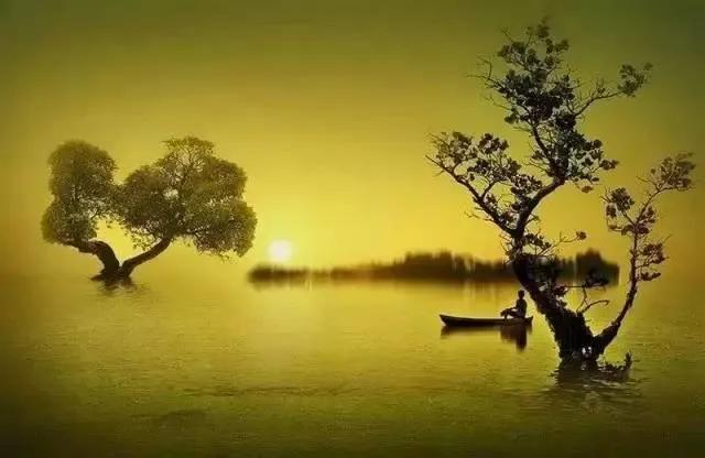 余生很贵,请远离"心穷"的人(深度好文)