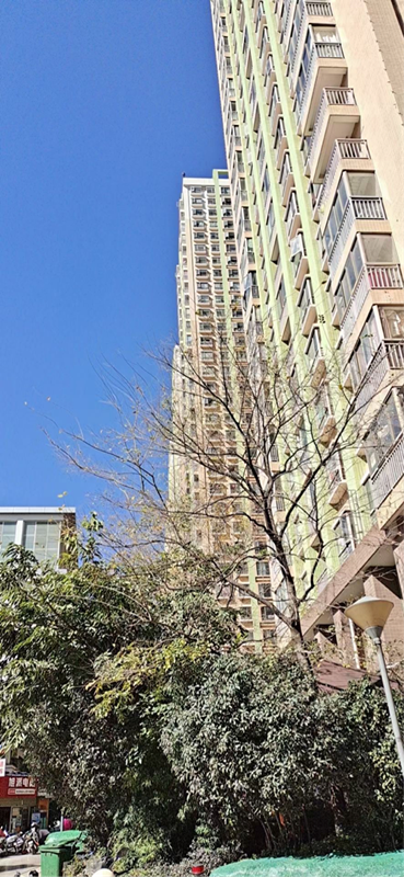 昆明市天骄北麓小区发生居民跳楼事件男子因与妻子争吵跳楼