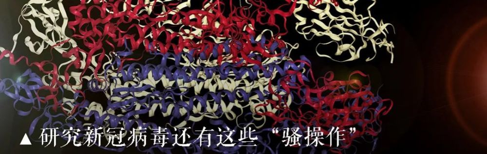 麦康诺|“吃掉你，我就继承你的记忆”？记忆转移实验是造假还是奇迹？