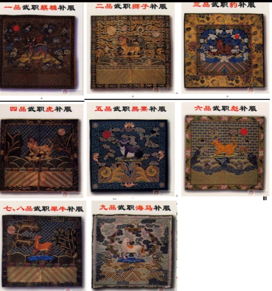 清朝文武补子有何寓意?_腾讯新闻