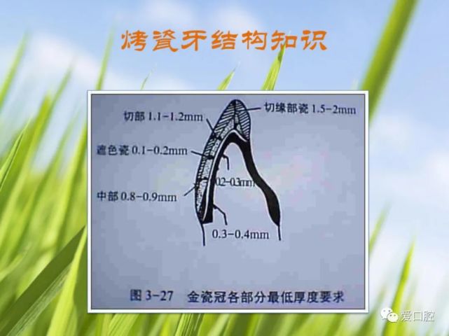 九步法精細化備牙的基本步驟(附視頻)全瓷修復的幾點臨床經驗分享no