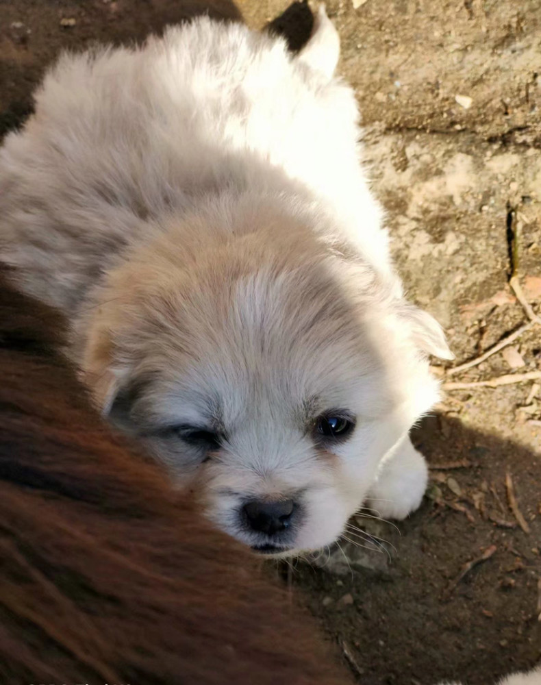 女生来姨妈生理痛的时候 男生到底应该怎么安慰 腾讯新闻