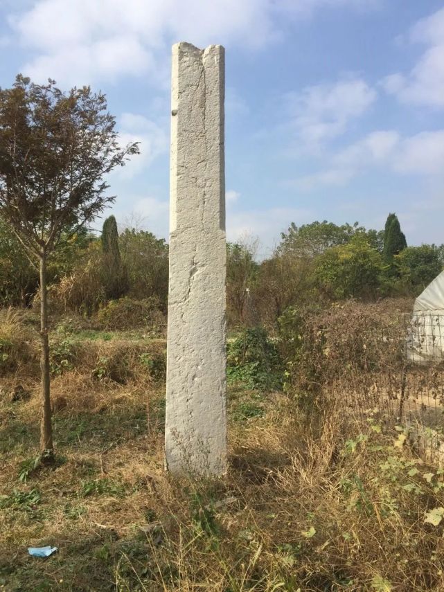 马阿林:镇江辛丰镇沿街村"望柱"之谜